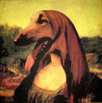 023 Hunde - Markus Binz